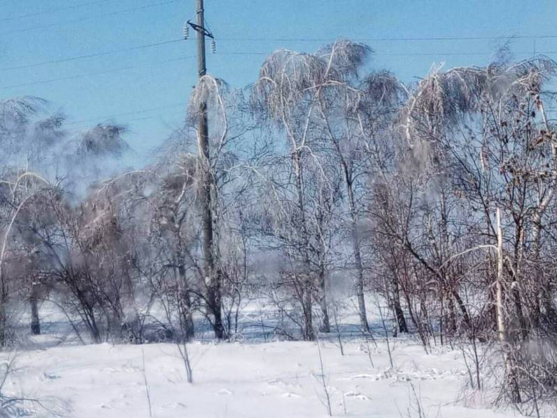 Концерты продолжаются